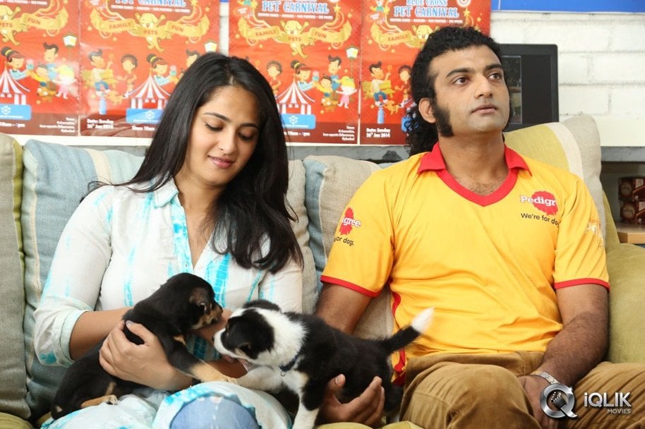 Anushka-at-Blue-Cross-Pet-Carnival-2014